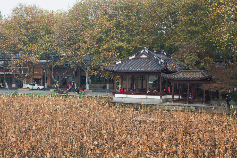 浙江省杭州西湖图片 浙江省杭州西湖图片