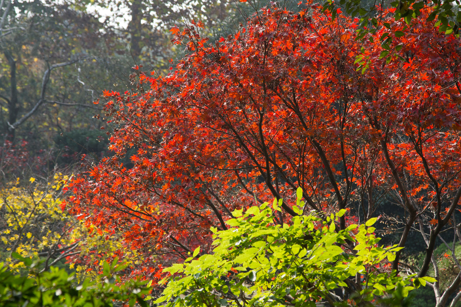 浙江省杭州西湖 浙江省杭州西湖