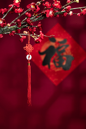 悬挂在梅花下面的中国结图片