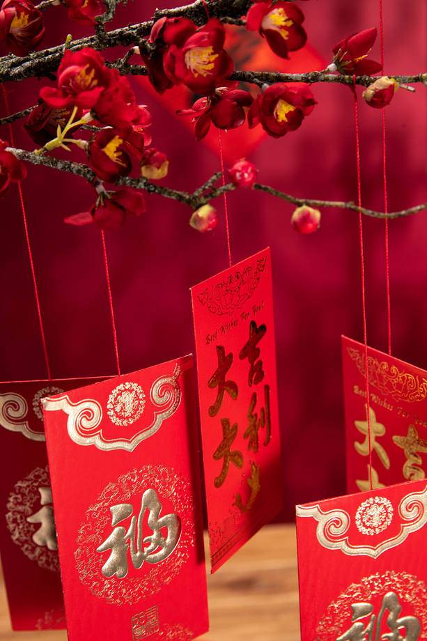 悬挂在梅花下面的红包图片