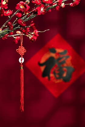 悬挂在梅花下面的中国结图片