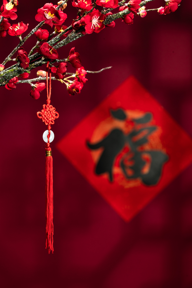 悬挂在梅花下面的中国结图片