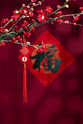 悬挂在梅花下面的中国结图片