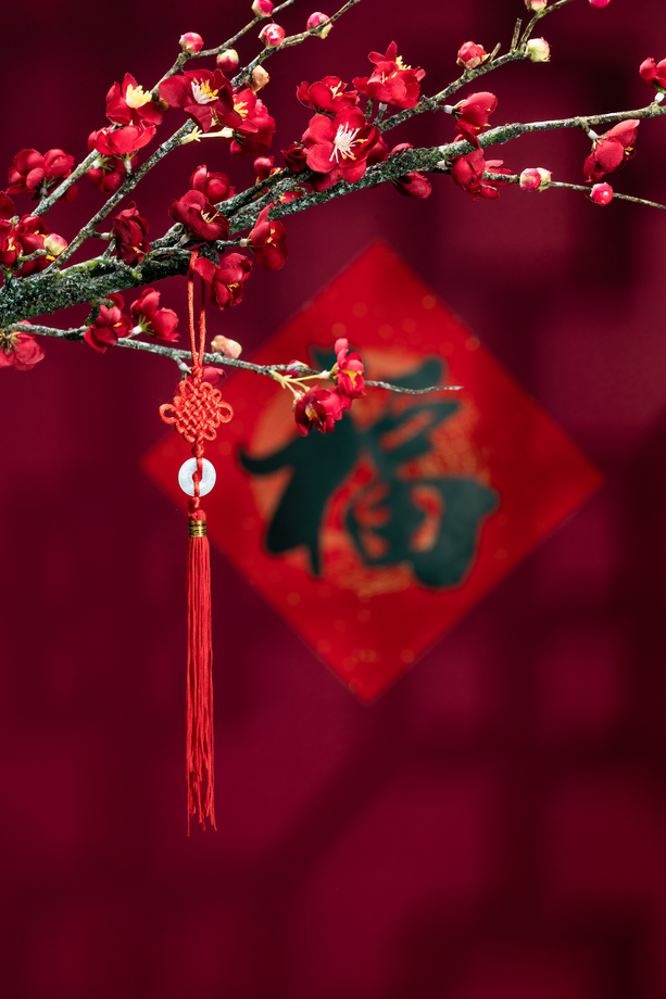悬挂在梅花下面的中国结图片
