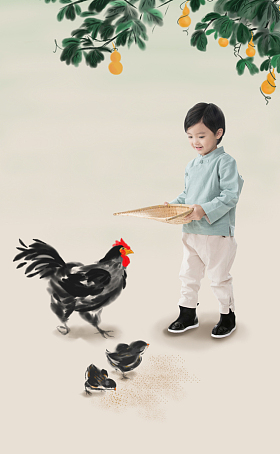 小男孩拿着簸箕撒谷物喂鸡图片