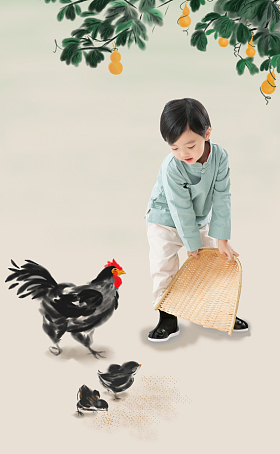 小男孩拿着簸箕撒谷物喂鸡图片