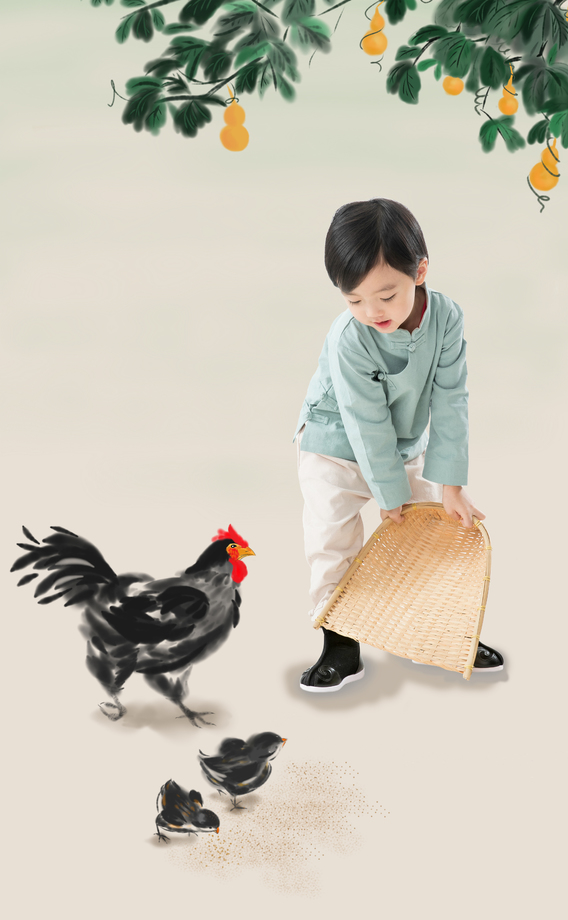 小男孩拿着簸箕撒谷物喂鸡图片 小男孩拿着簸箕撒谷物喂鸡图片