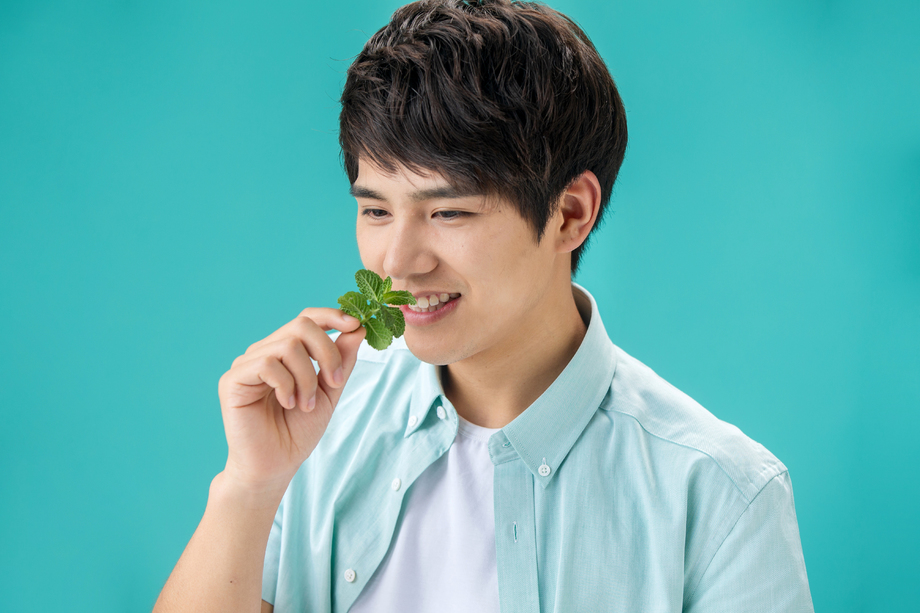 闻薄荷叶的年轻男人 闻薄荷叶的年轻男人
