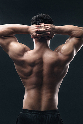 年轻的男健美运动员的背视图照片