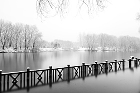 下雪后的湖边风景