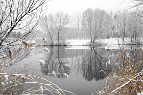 雪后湖面的倒影图片