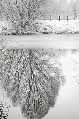 下雪后的湖边风景图片