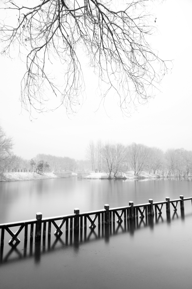 下雪后的湖边风景图片
