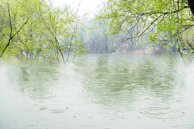 春雨滴在水面引起波纹
