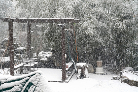 雪中的私家花园图片