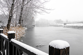 下雪后的湖边风景照片
