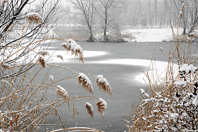 雪中的冰冻的湖面图片