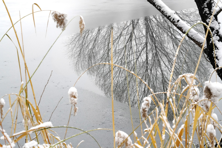 雪后湖面的倒影 雪后湖面的倒影