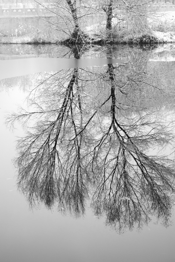 雪后湖面的倒影