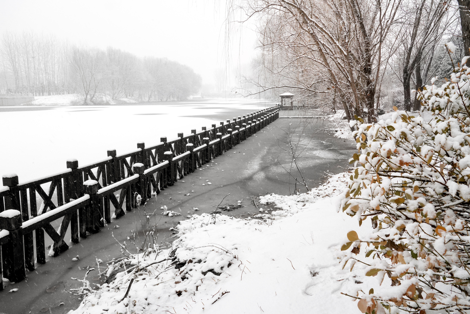 下雪后的湖边风景 下雪后的湖边风景