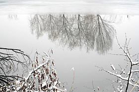 雪后湖面的倒影图片