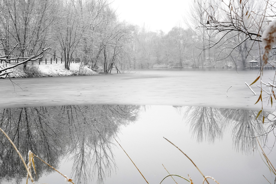 下雪后的湖边风景 下雪后的湖边风景
