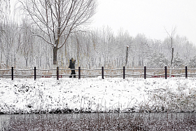 雪后湖的对岸图片