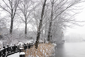 栈道旁雪后结冰的河流图片