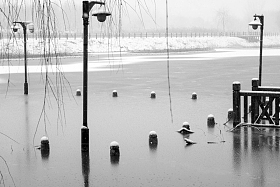 雪天冻住的码头栈道图片