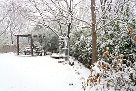 下雪后的私家花园图片