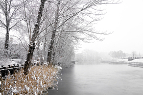 栈道旁雪后结冰的河流图片