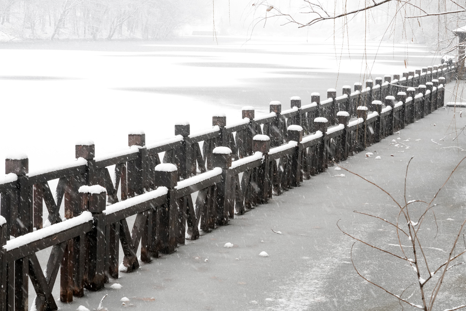 下雪后的湖边风景照片