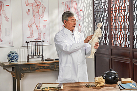 老中医研究人体针灸穴位模型