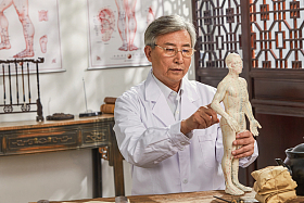 老中医研究人体针灸穴位模型