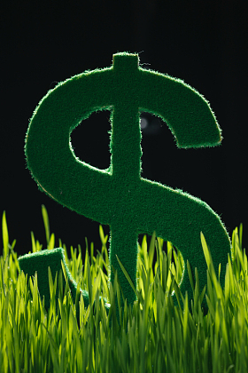 美元符号照片