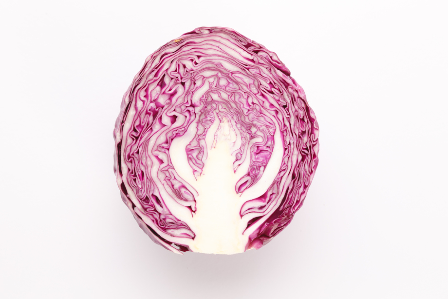 紫甘蓝照片