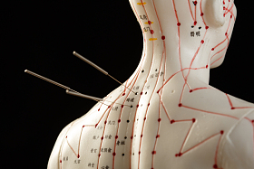 针灸穴位图片