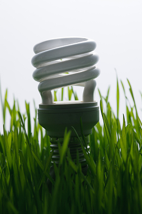 草地上的节能灯图片