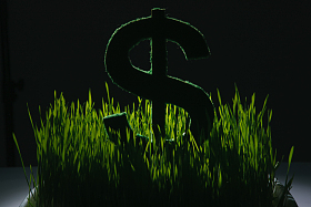 美元符号图片