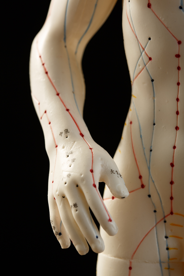 针灸穴位 针灸穴位