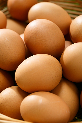 鸡蛋图片