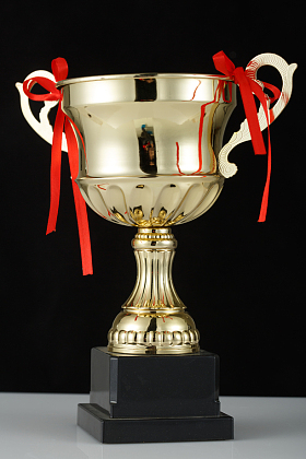 奖杯照片
