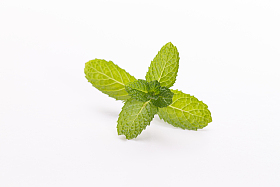 薄荷