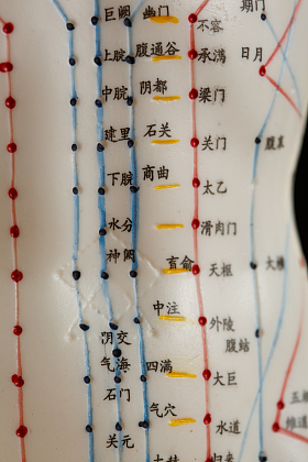 针灸穴位