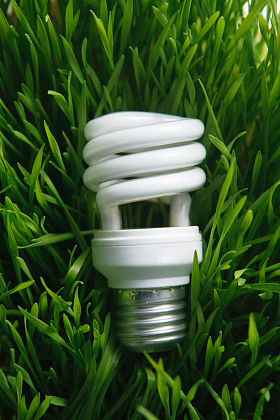 草地上的节能灯照片