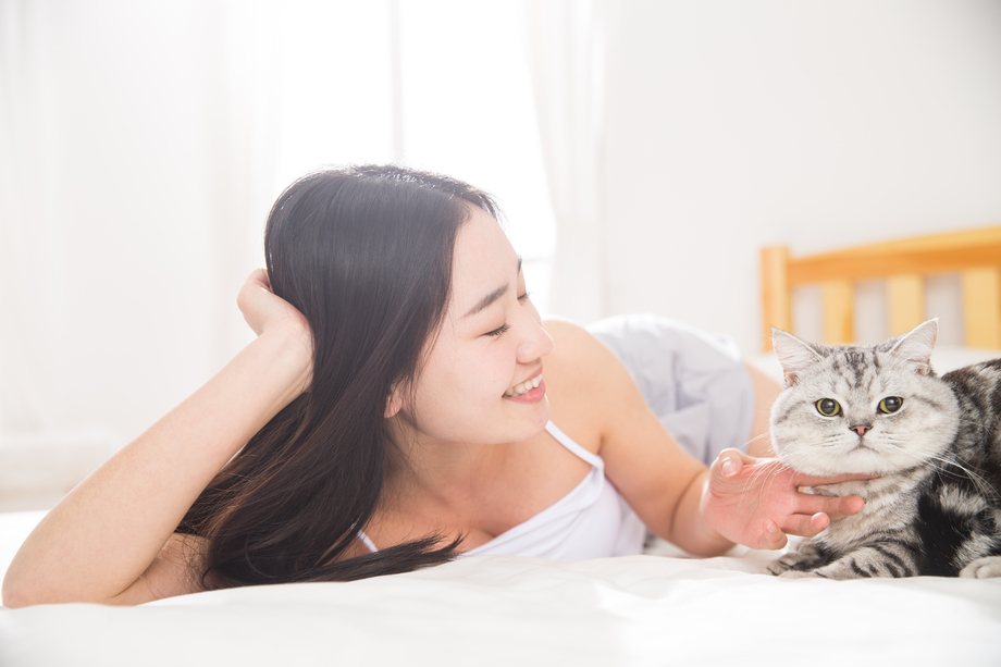 青年女人和猫图片 青年女人和猫图片