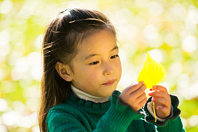 可爱的小女孩在户外玩耍