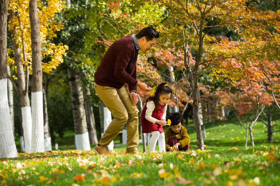 幸福家庭户外玩耍 幸福家庭户外玩耍