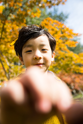 可爱的儿童在户外