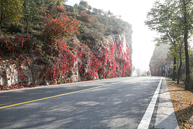 北京郊区的公路图片
